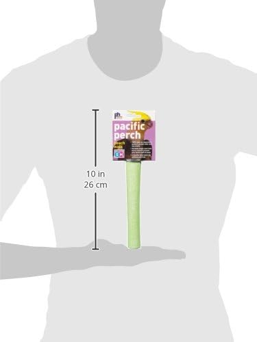 Prevue Pet Products Pacific Perch Beach Walk Medium