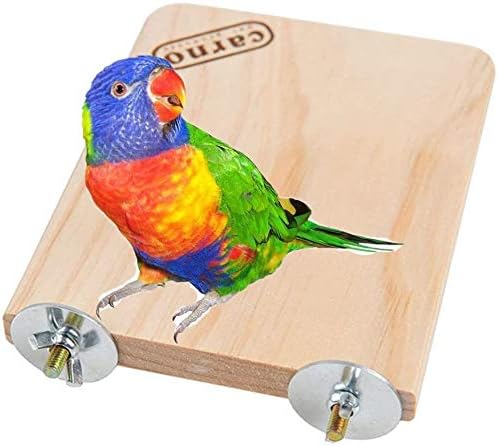 Litewoo Bird Wood Perch Platform Stand Shelf for Birds Budgie Parakeet Cockatiel Conure Cockatoo（Small）