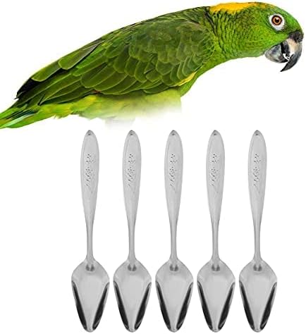 GOTOTOP Bird Parrot Feeder Spoon, Stainless Steel, 5.9 Inch, 5 Pieces, for Baby Birds