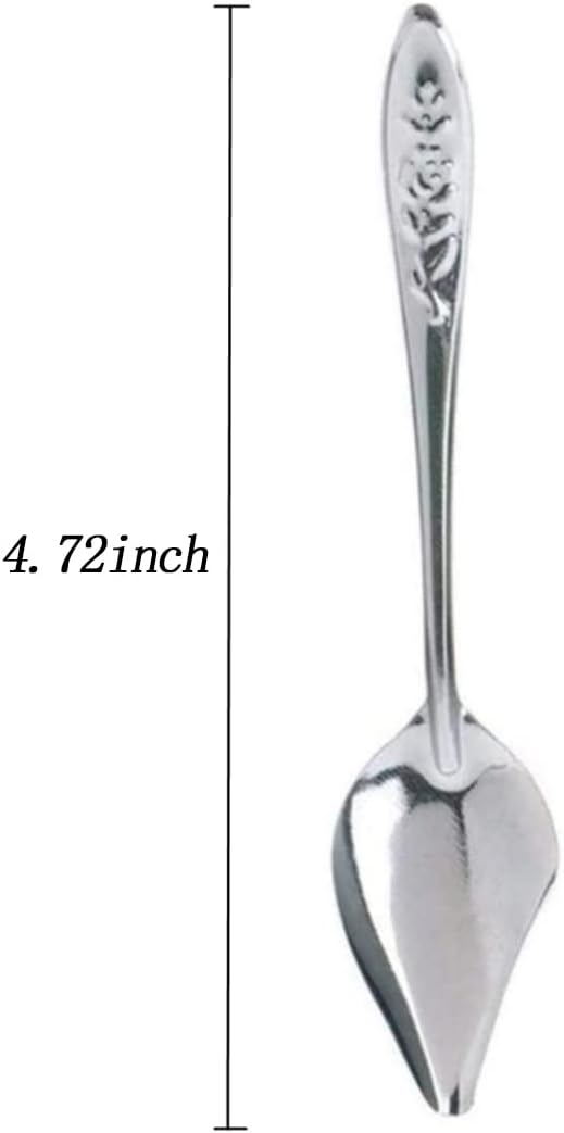 6 Stainless Steel Pet Feeding Spoons, Parrot Feeding Tool, Chick Bird Feeder.