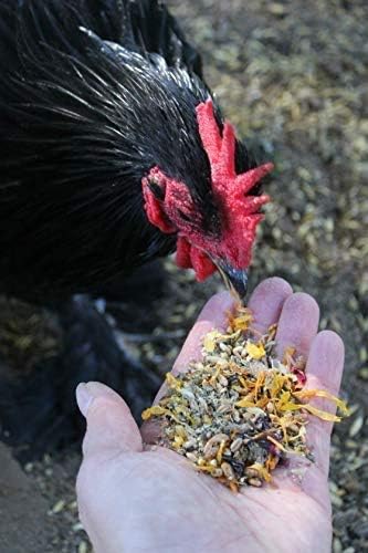 Backyard Chicken High Protein Herbal Treat with Dried River Shrimp, Black Soldier Fly Larvae, Mealworms, Basil, Hibiscus Flowers, Rose Petals (PowerHen) (4 pounds)