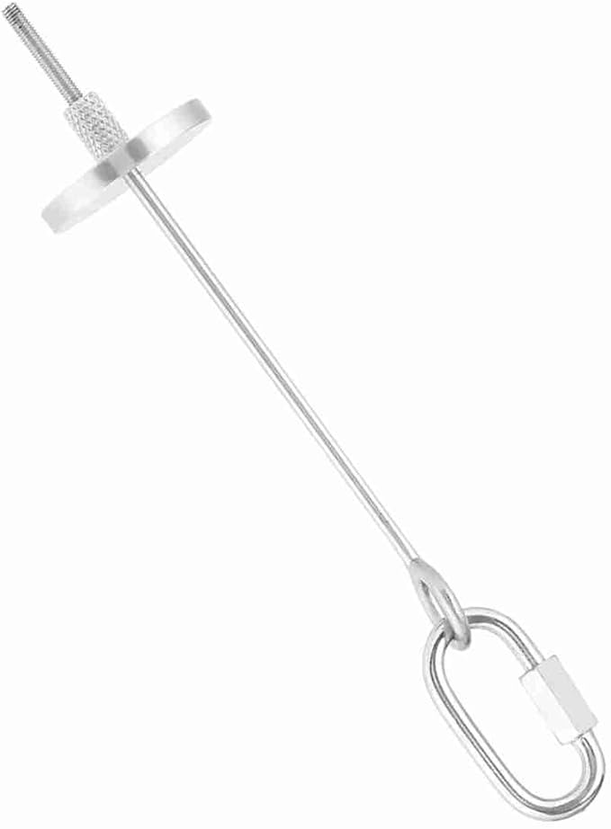 Bird Fruit Holder, Stainless Steel Fruit Vegetable Food Stick Holder Small Animal Bird Toy(S)