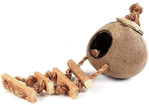 Hanging Bird House with Ladder Natural Coconut Fiber Shell Bird Nest Breeding for Parrot Parakeet Lovebird Finch Canary Coconut Hide Bird Swing Toys for Hamster Bird Cage Accessories Pet Bird Supplies