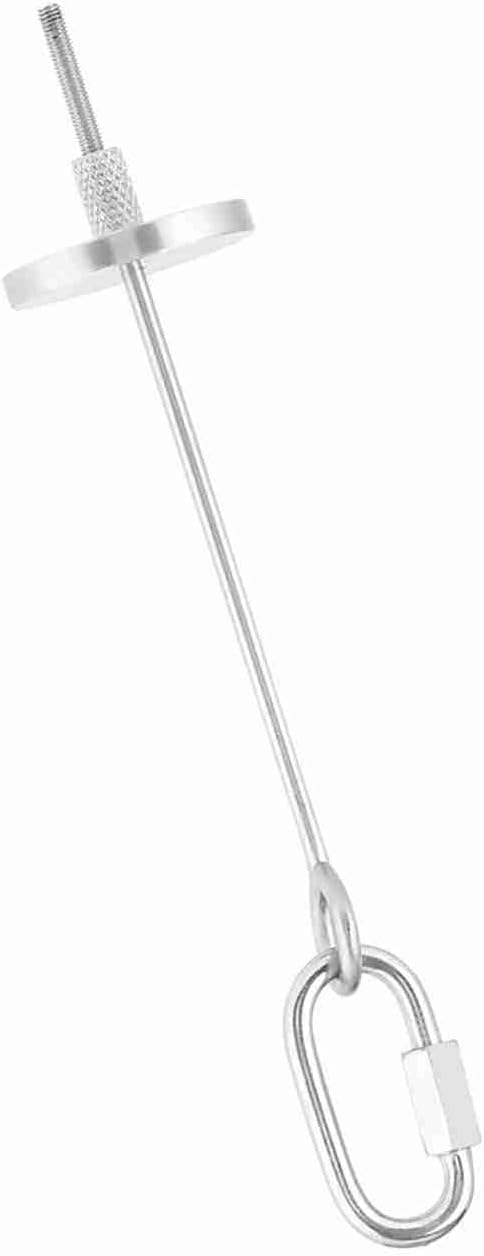 Bird Fruit Holder, Stainless Steel Fruit Vegetable Food Stick Holder Small Animal Bird Toy(S)