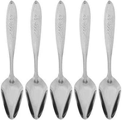 GOTOTOP Bird Parrot Feeder Spoon, Stainless Steel, 5.9 Inch, 5 Pieces, for Baby Birds