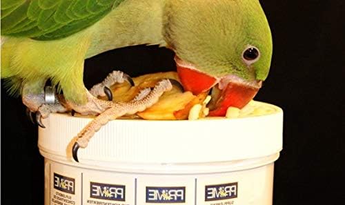 Hari Hagen Prime Parrot Vitamin, Mineral and Amino Acid Supplement for Seed Eating Birds, 1.1 oz