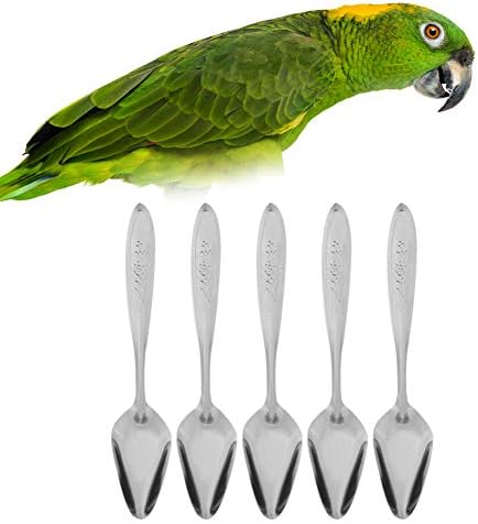 Bird Parrot Feeding Spoon Stainless Steel Metal Hand Feeding Spoons Feeder Animals Care Tool for Pet Peony Cockatiel Parrot