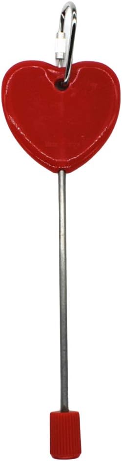 Stainless Steel Food Holder Stick Fruit Skewer Bird Parrot Treating Tool Bird Seed Feeder for Cage