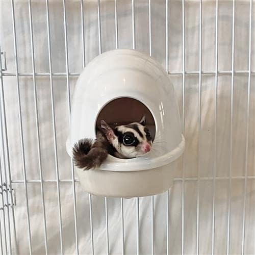 Press 'N' Slide Feed Station - Durable Mounted Food Bowl Dish - Sugar Gliders, Squirrels, Prairie Dogs, Degus, Marmosets, Parrots, Birds, Rats, Hamsters, Gerbils & Other Small Pets… (with Dome)
