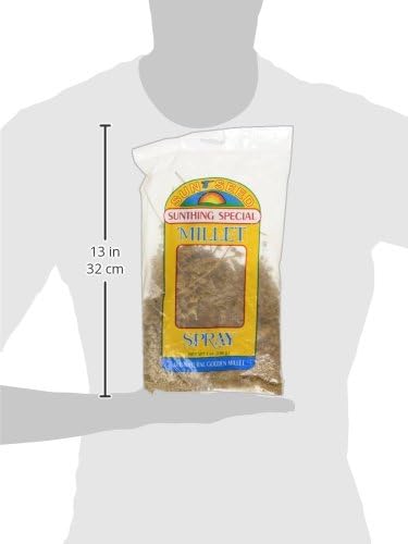 Sun Seed Company Bss10971 Small Bird Millet Spray Treats, 7-Ounce