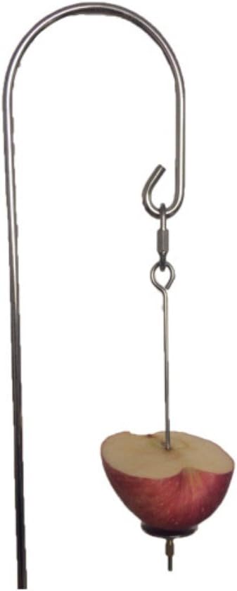 Honbay 2pcs Parrot Bird Rabbit Hutch Cage Fruit Vegetable Holder Skewer Foraging Toy Animal Treating Tool (S)