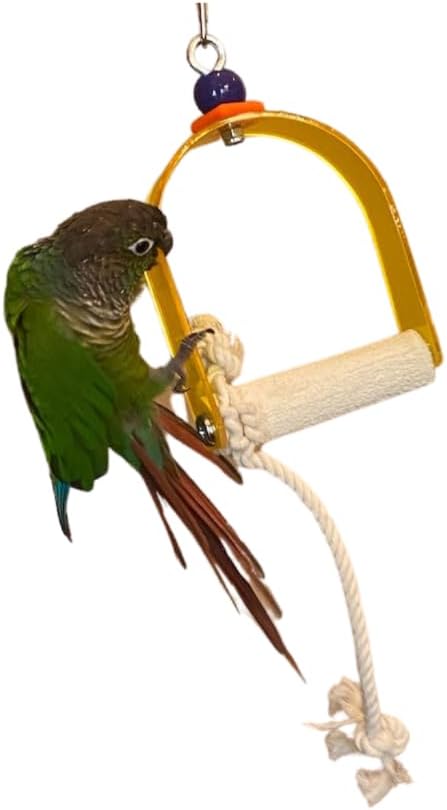Polly's Arch Swing-Nail Trimming Bird Swing for Cages-Great for Parrots Including Parakeets, Cockatiels, Amazons, Macaws, and Cockatoos. (X-Small)