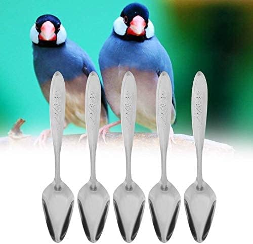 GOTOTOP Bird Parrot Feeder Spoon, Stainless Steel, 5.9 Inch, 5 Pieces, for Baby Birds