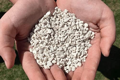 5 Pounds All Natural Crushed Oyster Shells for Poultry Birds and Gardens - Garden Naturals