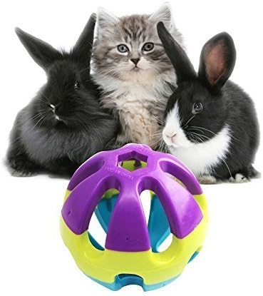 Hypeety Pet Parrot Toy Plastic Colorful Birds Ball with 1 Bell for Budgie African Grey Cockatoo Cockatiel Sun Conures 1 Ball
