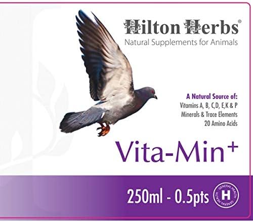 Hilton Herbs 27082 Vita-Min Plus Bird Food Formula, 0.5 Pint