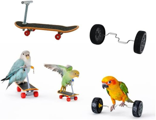 Bird Training Toys Set, 2 Piece Skateboard and Balance Bike for Parrots, Balance Training Accessories