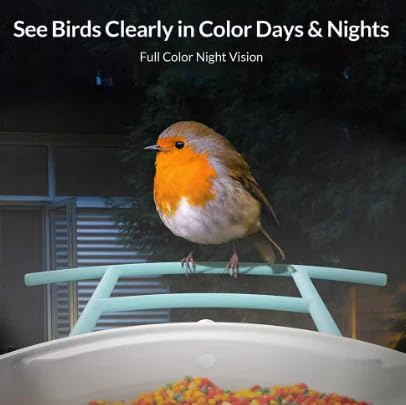 VicoHome N002 Bird Feeder with Camera - AI Bird Recognition, Solar Powered Outdoor Birdhouse Cam with Night Vision, Motion Alerts, App Control, Cloud & SD Storage, IP65 Waterproof, 2K HD Live View