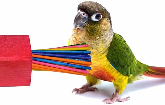 Super Bird Creations SB300 Mini Paper Party Bird Toy, Medium Bird Size, 4.5" x 2"