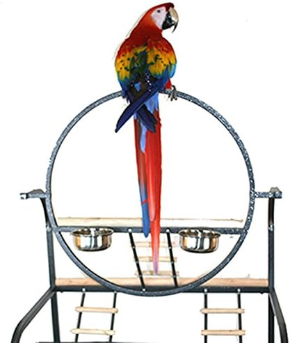 Extra Large "O" Wrought Iron Parrot Amazon Cockatoos MaCaws Play Gym Ground Seed Skirts Stand (White Vein)