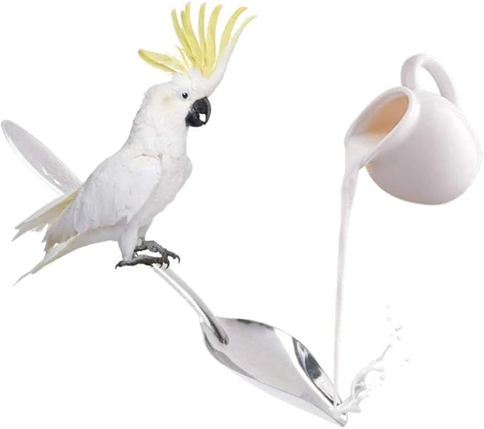 6 Pcs Stainless Steel Bird Feeding Spoon - Narrow Tip for Baby Birds Young Pet Birds, Parrot Milk Spoon Fit Finch Canary Cockatiel Hand Feeding,Spoons for Feeding Nestlings/Hatchlings