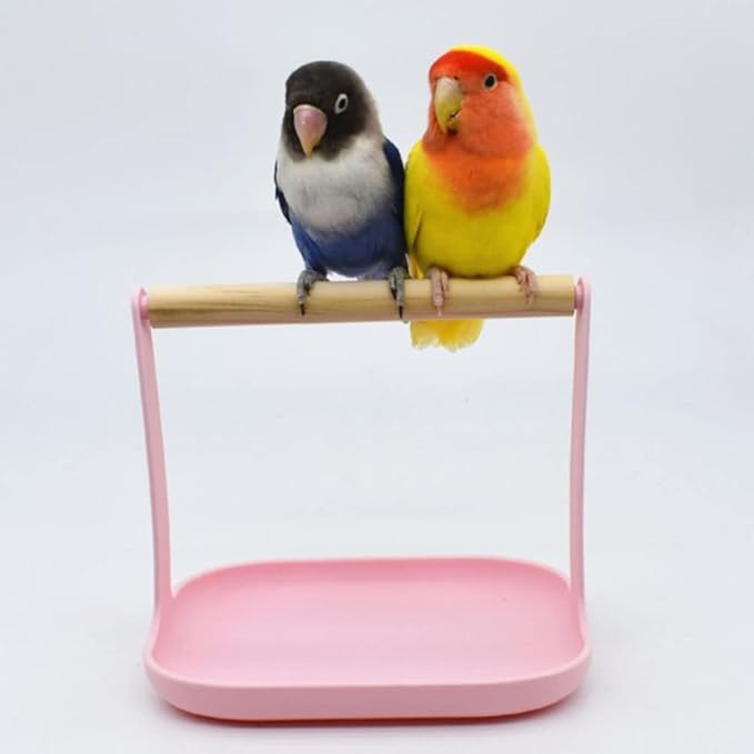 LUOZZY 2Pcs Bird Training Stand Wooden Birds Stand Toys Tabletop Perch Shelf Training Playground for Parakeets Conures Lovebirds Cockatiels, Pink