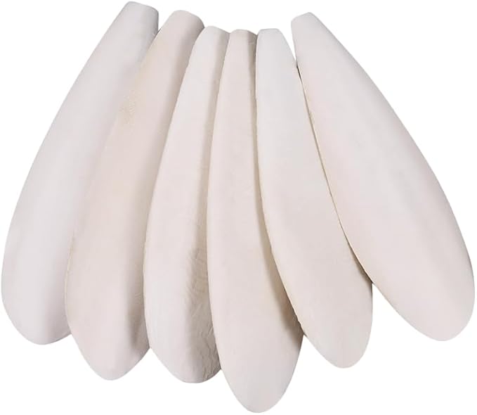 6 Pcs Natural Cuttlebone for Birds Parakeets Pure Cuttlebone Calcium Stone for Parakeets Canaries Cockatiels Tortoise Turtles Cockatiel 11-11.5cm /4.3-4.5”