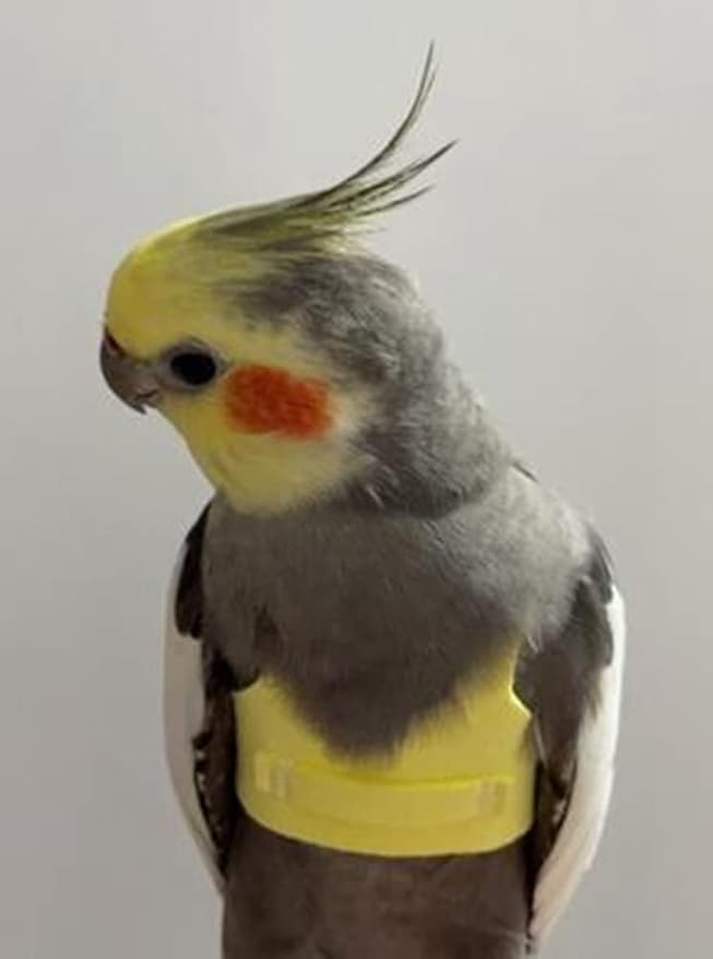 Bird Flight Harness Vest, Parrot Flight Suit with Leash for Parakeets Cockatiels Conures Budgies, Bird Flying Clothes with Rope and Handle for Outdoor Activities Training (5XL,Yellow)