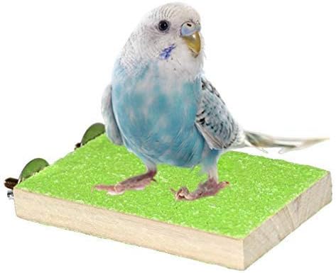 Mrli Pet Bird Cage Accessories, Parrot Perch Stand Platform Natural Wood Grinding for Budgie Parakeet Cockatiels Conure Lovebirds, Green