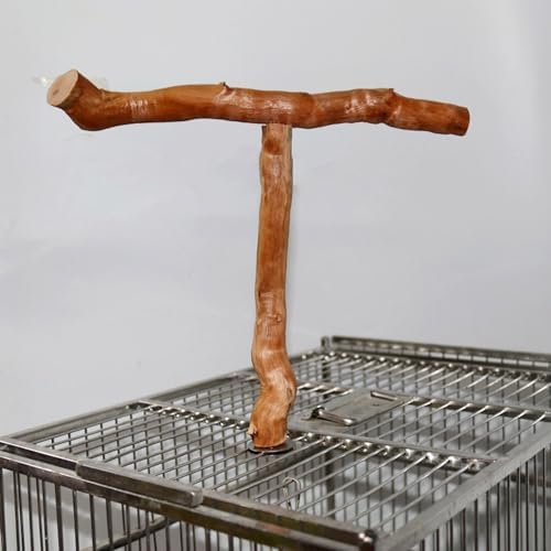 Asixxsix Wood Bird Perch, T Shaped Birdcage Stand Wooden Parrot Perch Stand Perch for Bird Cage Grinding Bird Perch Branches, T Perch Bird Accessory, Easy to Install