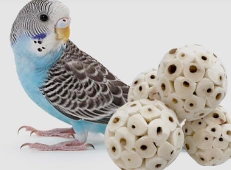 Mini Sola Wood Bird Toy Bunde -Sola Balls & Sola Logs, Shreddable Chew Toys, Foot Toys, Perfect for Small Birds - 10 piece Set (Mini)