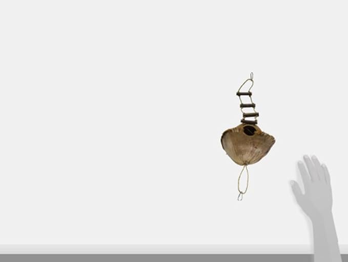 Prevue Pet Products Naturals Island Hideaway with Ladder - Bird Toy for Parakeet, Conures, Cockatiels, Amazons, and Small to Medium Pets, Cage Accessory for Climbing, Resting, and Beak Exercise