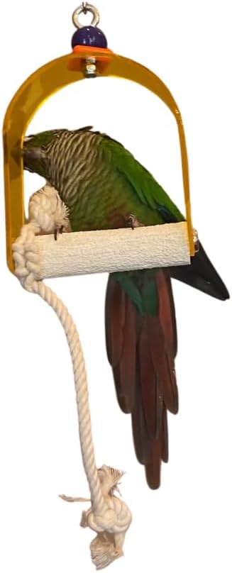 Polly's Arch Swing-Nail Trimming Bird Swing for Cages-Great for Parrots Including Parakeets, Cockatiels, Amazons, Macaws, and Cockatoos. (X-Small)