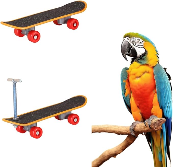 2Pcs Bird Skateboard，Bird Toys for Parrot，for Bird Training Toys (Large)