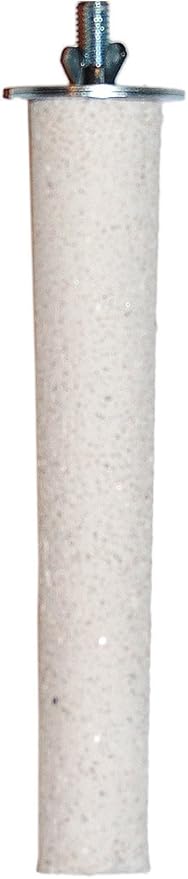 Prevue Pet Products Pacific Perch Beach Walk Medium