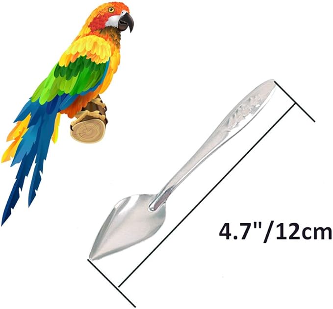 Bandelt 5 Pcs Stainless Steel Bird Parrot Feeder Spoon for Baby Birds, 4.7"