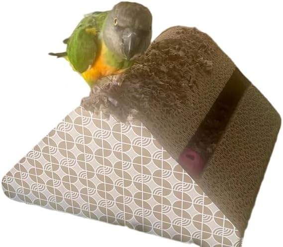 OSWINMART Parrot Cardboard Toy with Jingle Ball