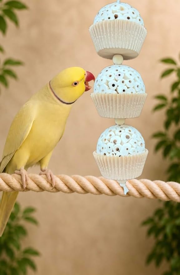 Shred and Destroy Bird Toy for Medium Birds - Conures, Cockatiels - Natural Sola Ball Hanging Chew Toy - 2 Pack - Boredom Buster Cage Toy