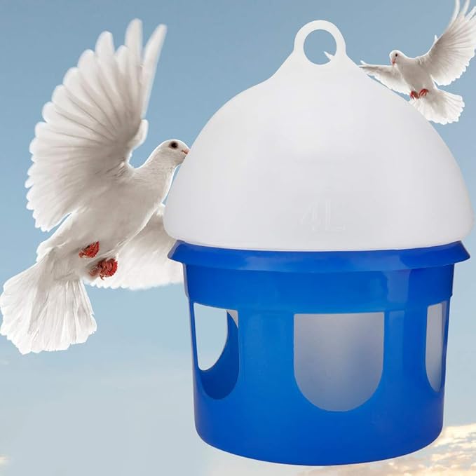 CDQL Pigeon Feeder, ABS Plastic 4L Automatic Bird Pigeon Feeder Water Dispenser