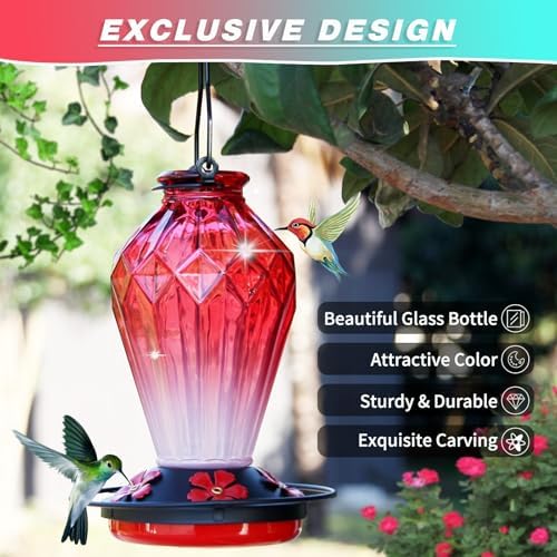 MCHBF Glass Humming Bird Feeders for Outdoor Hanging,Red 24oz and 25oz