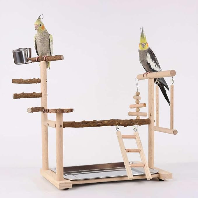Wooden Parrot Playground Stand, Bird Play Gym for Small Medium Large Parrots, Natural Wood Bird Perch Stand for Parakeet Cockatiel Conure African Grey Macaw, Stable Easy-to-Clean Play Area