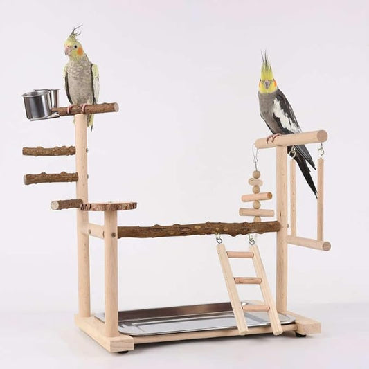 Wooden Parrot Playground Stand, Bird Play Gym for Small Medium Large Parrots, Natural Wood Bird Perch Stand for Parakeet Cockatiel Conure African Grey Macaw, Stable Easy-to-Clean Play Area