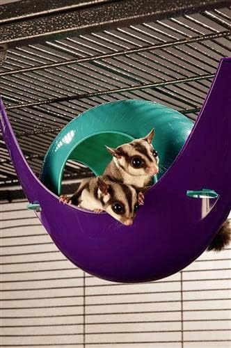 Exotic Nutrition Nap Nook - Unique Nest Pod Cage Accessory Toy - Use Grounded or Hanging - Sugar Gliders, Hamsters, Mice, Rats, Birds, Degus, Chinchillas, & Other Small Pets (Large)
