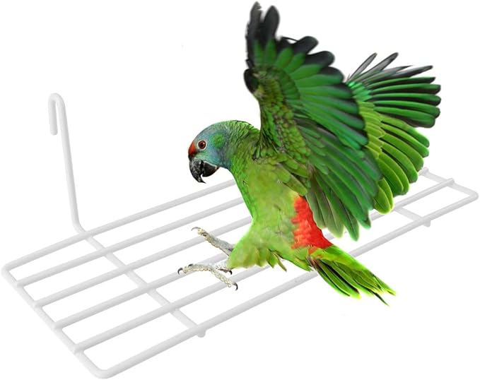 Iron Frame Bird Cage Perch Shelf with Hanging Hooks – Sturdy Wire Platform for Perching, Climbing & Resting – for Small to Medium Parrots, Cockatiels, Finches
