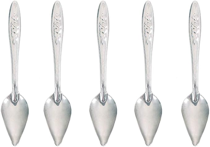 Bandelt 5 Pcs Stainless Steel Bird Parrot Feeder Spoon for Baby Birds, 4.7"