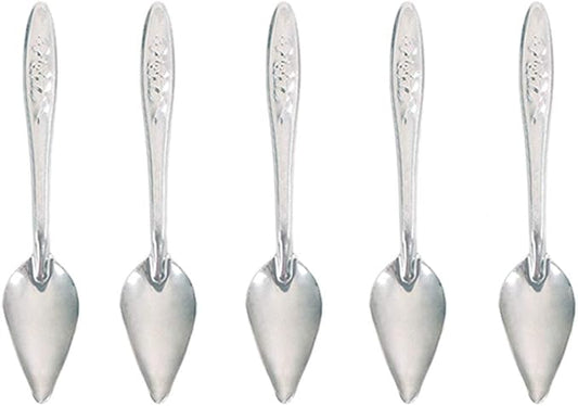Bandelt 5 Pcs Stainless Steel Bird Parrot Feeder Spoon for Baby Birds, 4.7"