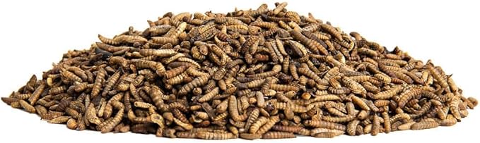 Small Pet Select Grub Bugs, Black Soldier Fly Larvae, Non-GMO, Locally Sourced PNW, 2 lb