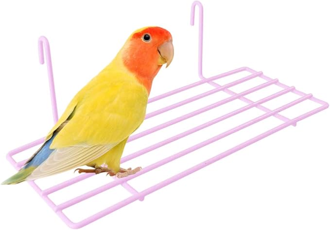 TEHAUX 1pc Iron Frame Shelf for Pet Parrots Sturdy Wall Decoration Hanging Hooks Easy to Install Iron Wall Shelf for Animal Perching and Display