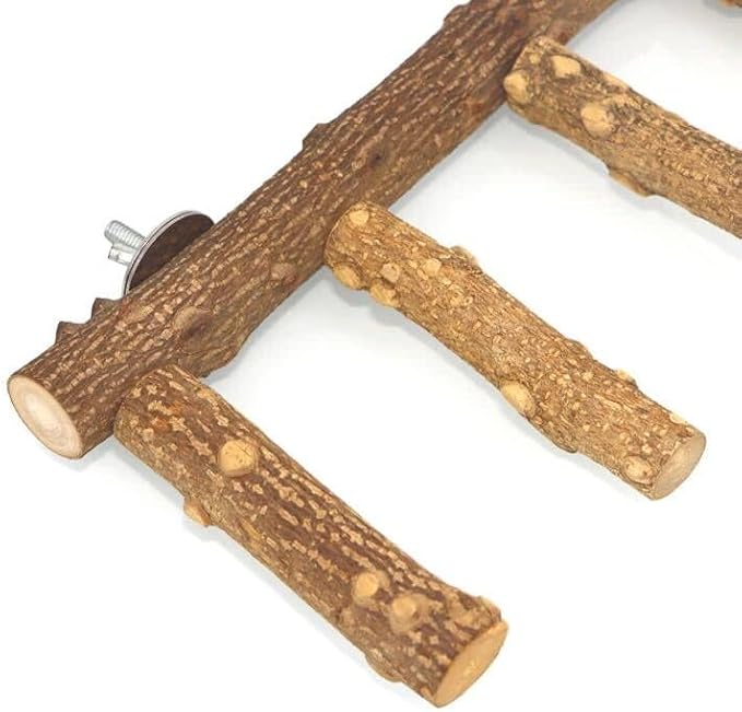 Bird Ladder Perch Cage Nature Wood Stand Parrot Chew Toy for Small Medium Parrot Animal (M) (Bird Ladder)