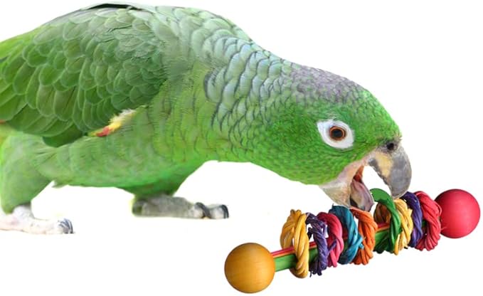 Super Bird Creations SB536 Vine Ring Rattle Bird Foot Toy, Medium/Large Bird Size, 5.5" x 1.5"